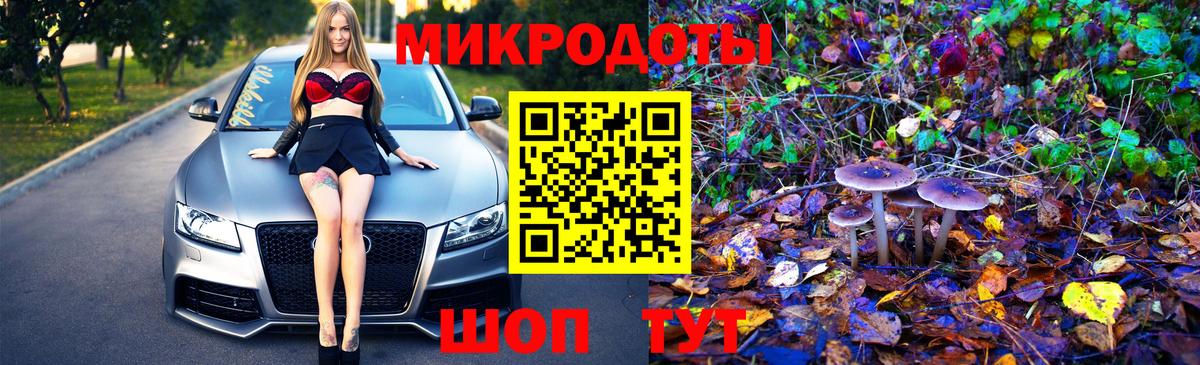 Экстази Ачхой-Мартан