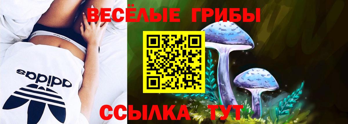 Псилоцибиновые грибы мицелий Ачхой-Мартан